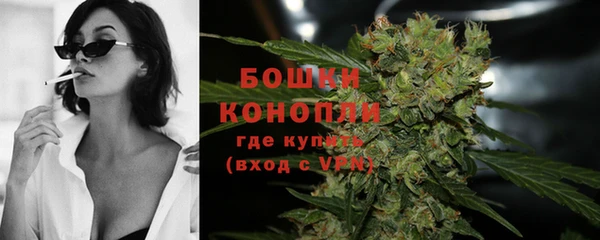 гидра Белоозёрский