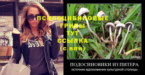 дмт Белокуриха