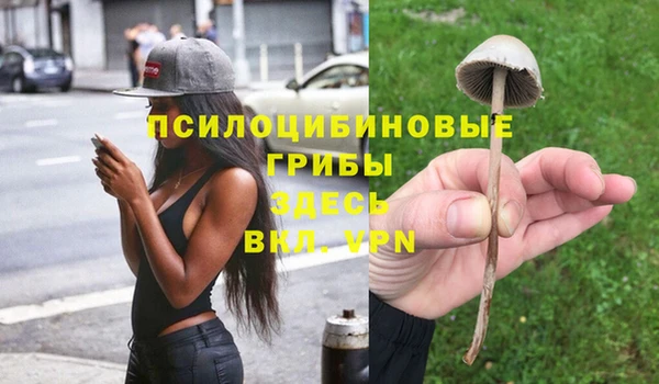 дмт Белокуриха