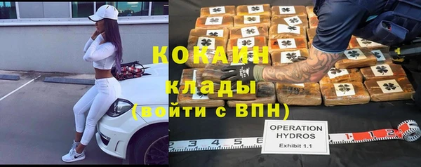 гидра Белоозёрский